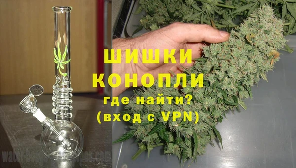 стафф Майский