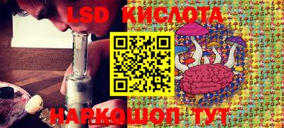 дживик Кингисепп