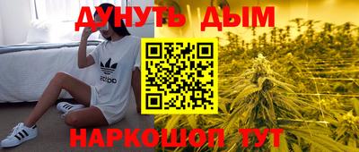 дживик Кингисепп