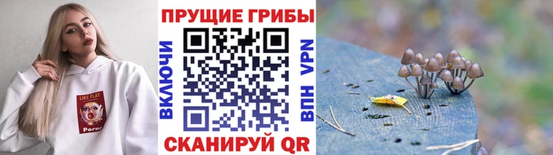 Галлюциногенные грибы GOLDEN TEACHER  наркотики  Нарткала 