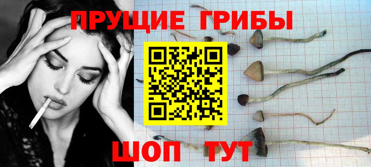 Галлюциногенные грибы мухоморы Нарткала