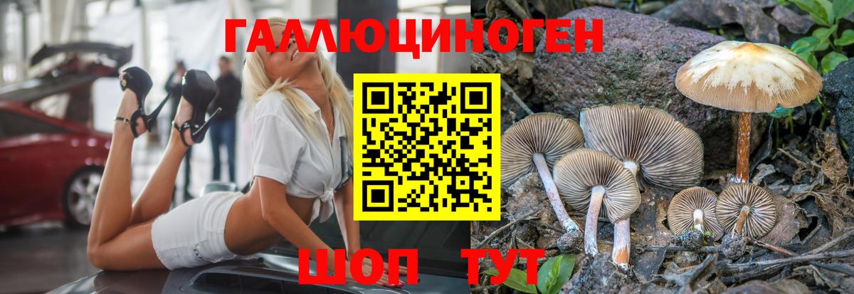 Нарткала  Псилоцибиновые грибы Psilocybine cubensis  Вход с VPN 